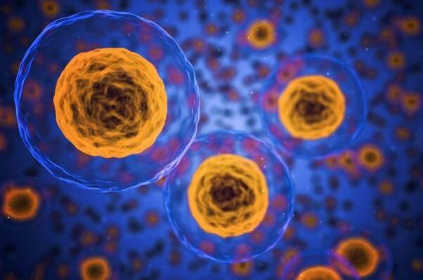 Bagaimanakah proses penurunan berat badan berlaku